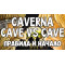 Настольная игра Каверна: Пещера на пещеру (Caverna duel)
